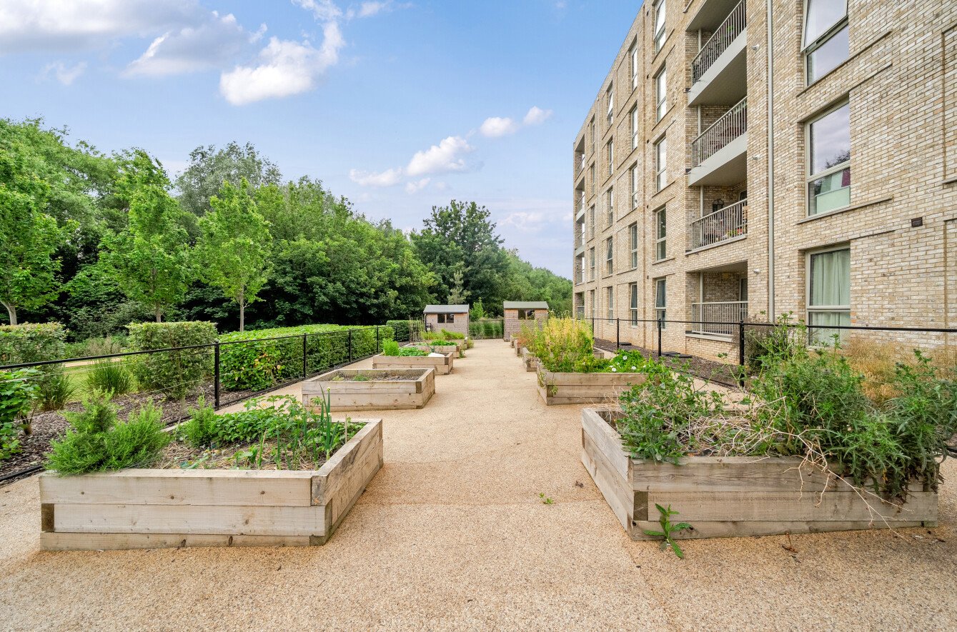 Communal Garden Communal Garden