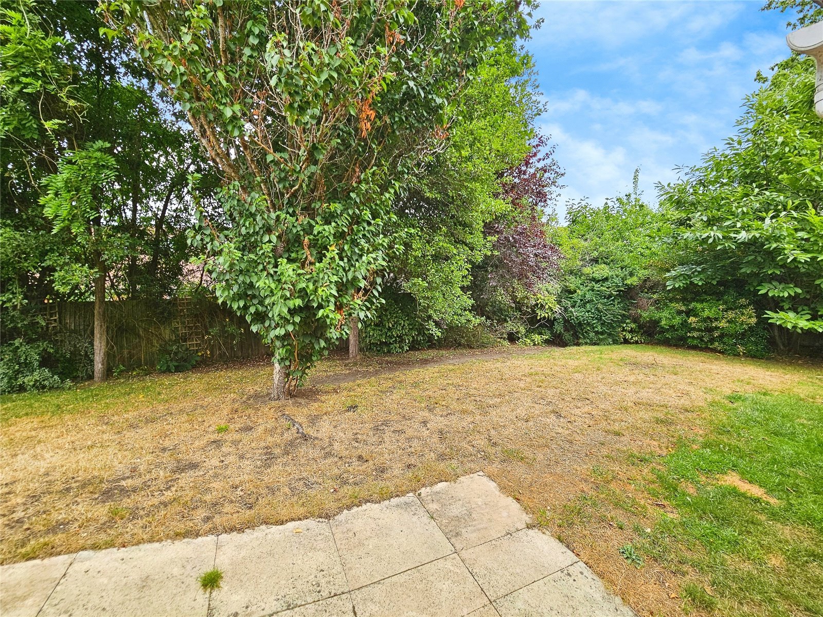 Garden Garden