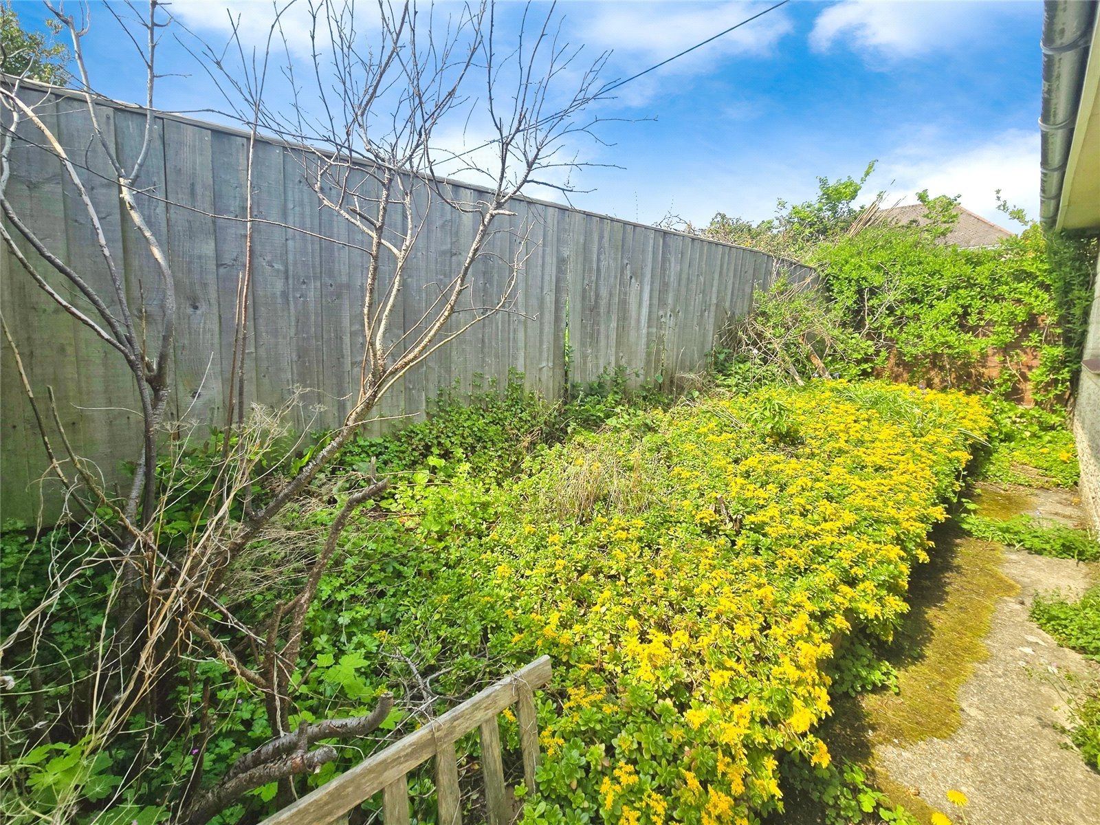 Garden Garden