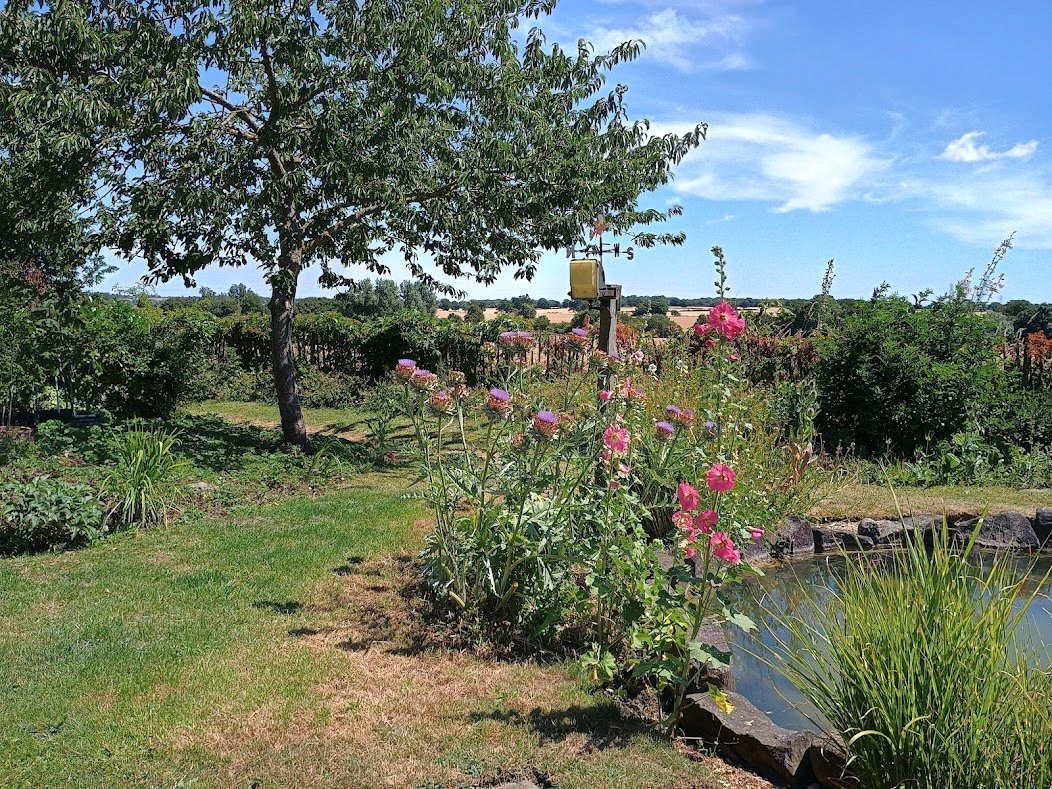 Garden Garden