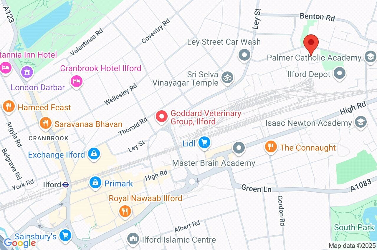 Google Maps Image Google Maps Image