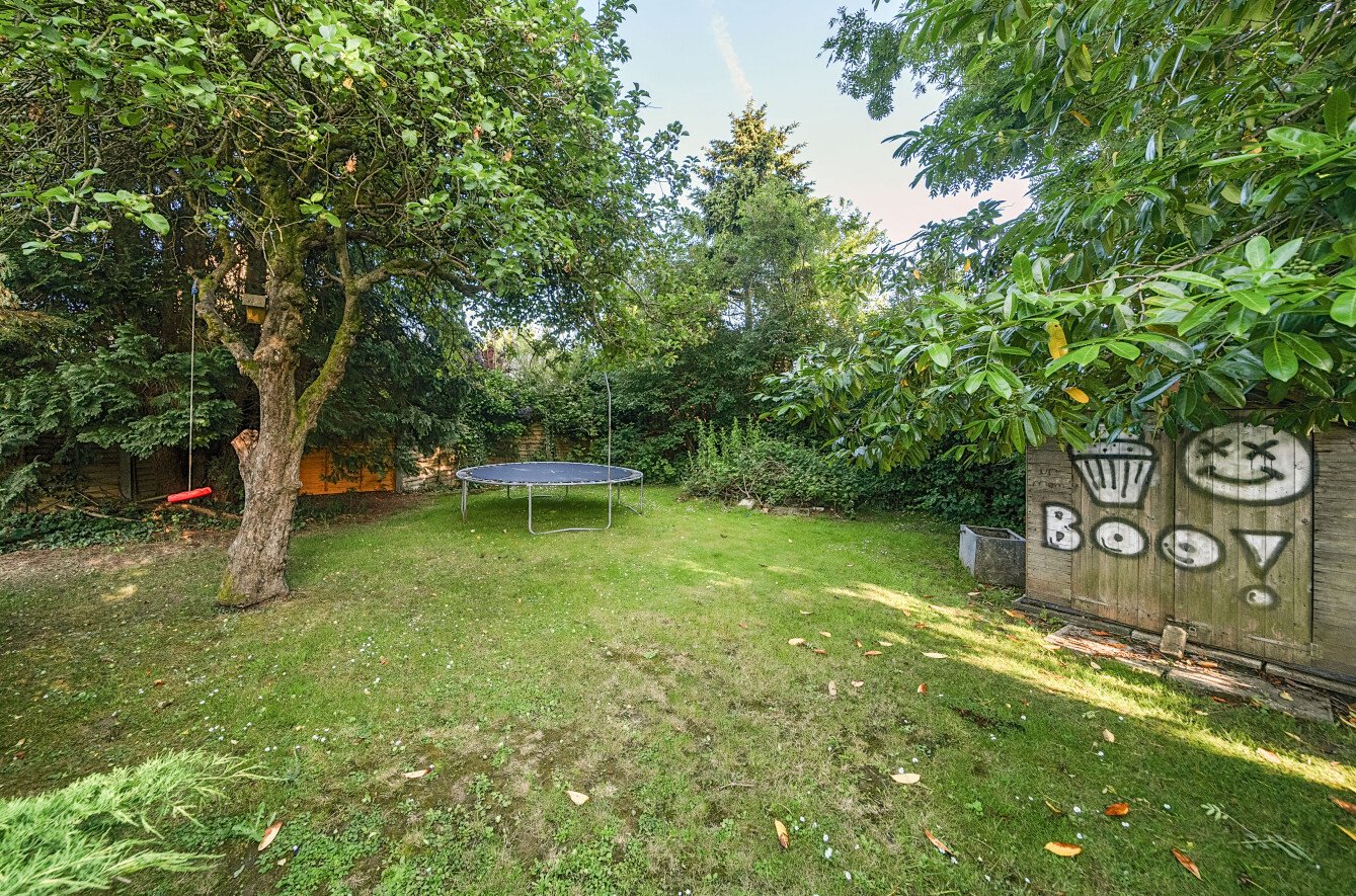 1305957-5-6849deb...