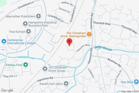 Google Maps Image