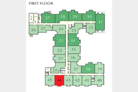 Site Plan 1st Floor