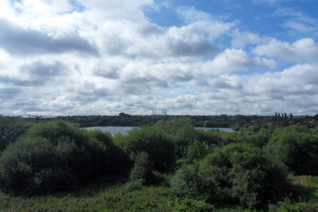SDC18374 (Large).jpg