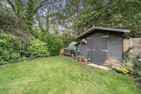 Rear Garden 6