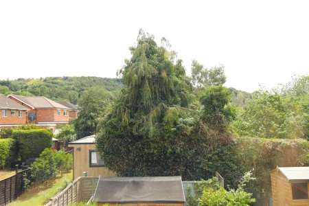 View View