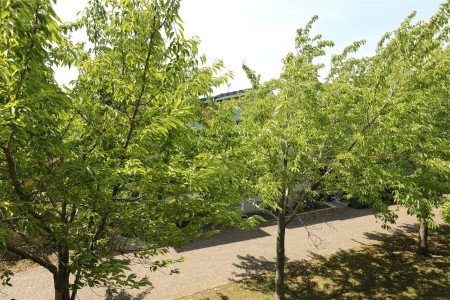 View Front