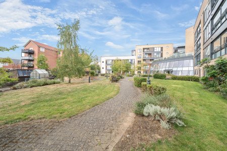 Communal Gardens