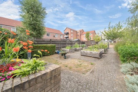 Communal Gardens