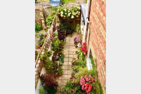 View Of Garden