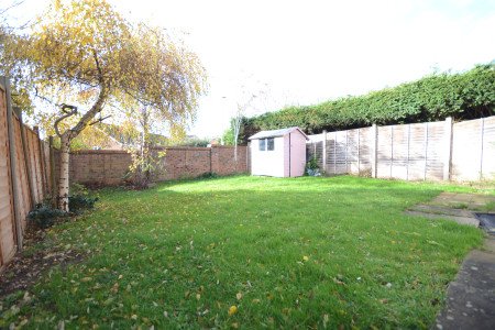 garden