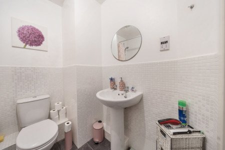 1015928 (8).jpg