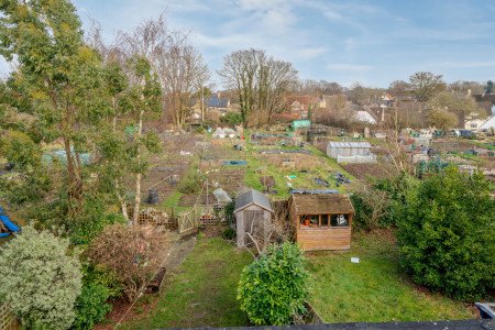 View From Bedroom