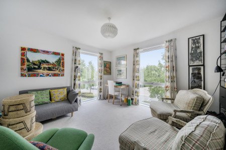 Family Room/Bedroom