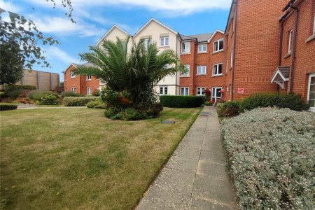 Communal Garden