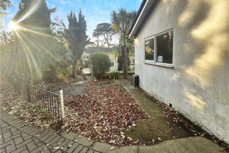 Drive Way