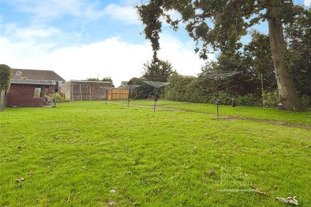 Picture No. 13 Picture No. 13