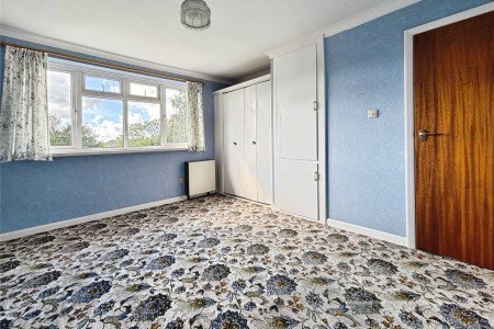 Picture No. 16 Picture No. 16