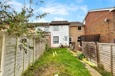 Picture No. 01 Picture No. 01