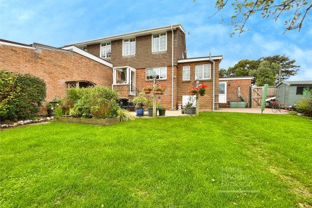 Picture No. 21 Picture No. 21