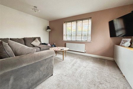 Picture No. 17 Picture No. 17