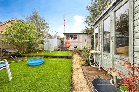 Picture No. 11 Picture No. 11