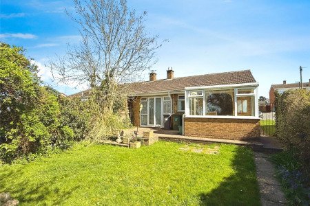 Picture No. 16 Picture No. 16