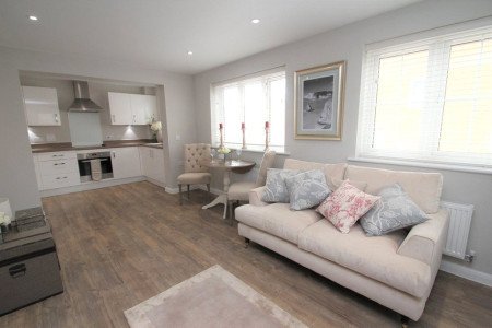 Picture No. 11 Picture No. 11