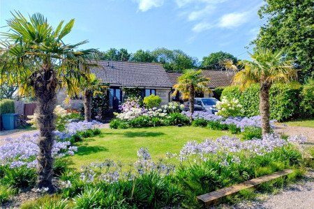 Picture No. 21 Picture No. 21