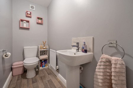 1376290-8-6913521...