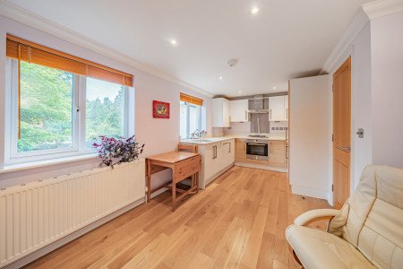 Living Room/Kitchen