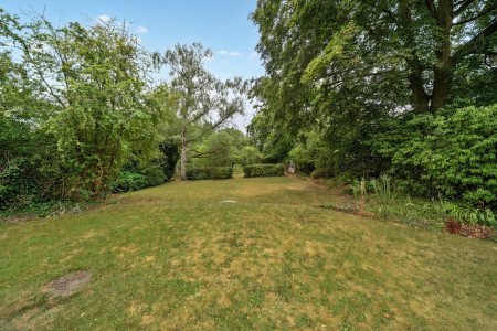 South Facing Gardens South Facing Gardens