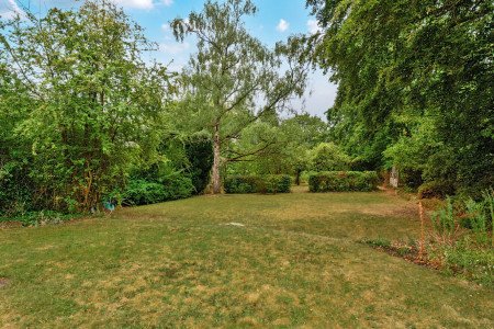 South Facing Gardens South Facing Gardens