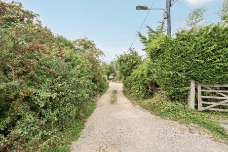 Country Lane