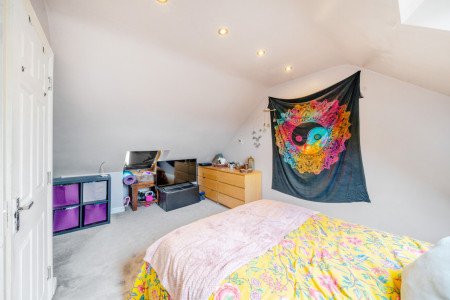 1315831-13-686bd1... 1315831-13-686bd1...