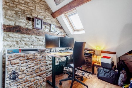 Study Area