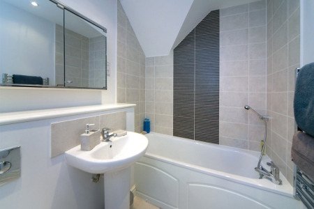IMAGE 7