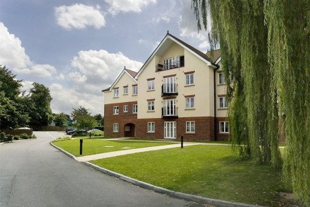 IMAGE 1