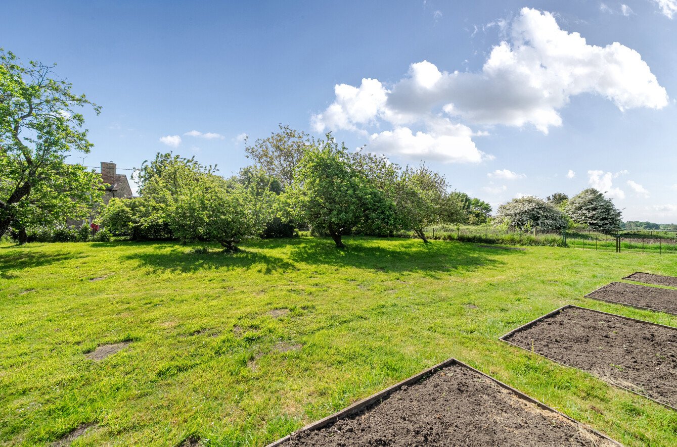 Land/Orchard Land/Orchard